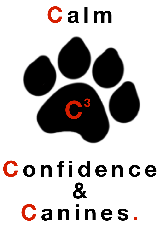 C3 Calm Confidence & Canines